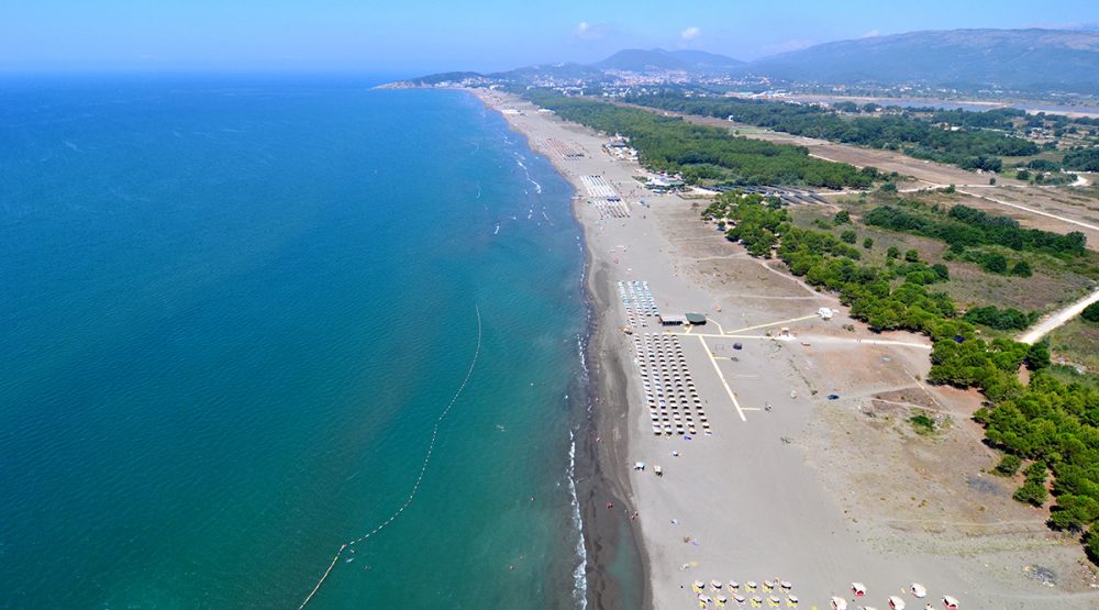 newest-news-post-image